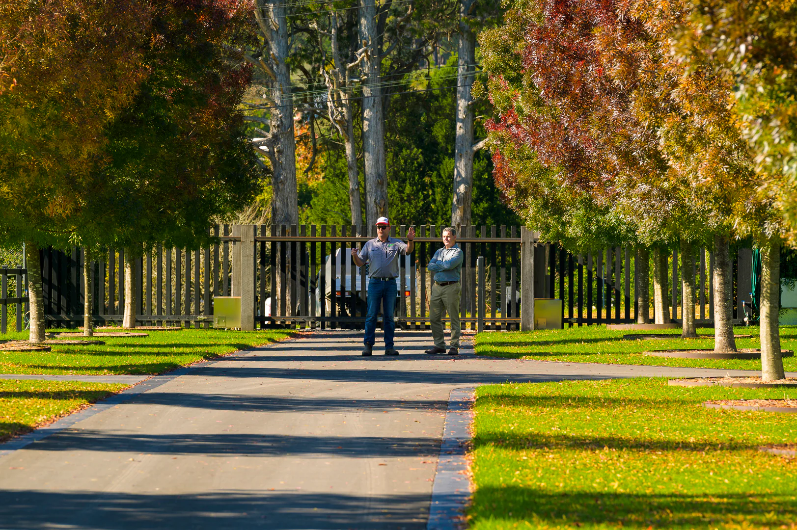 The Future of Perfect Lawns